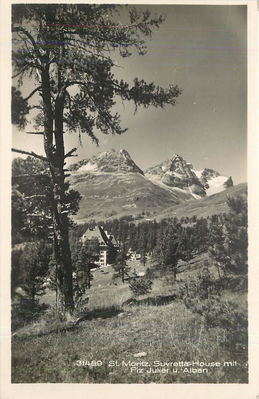 CPA St Moritz Suvretta House Mit Piz Julier U Alban 