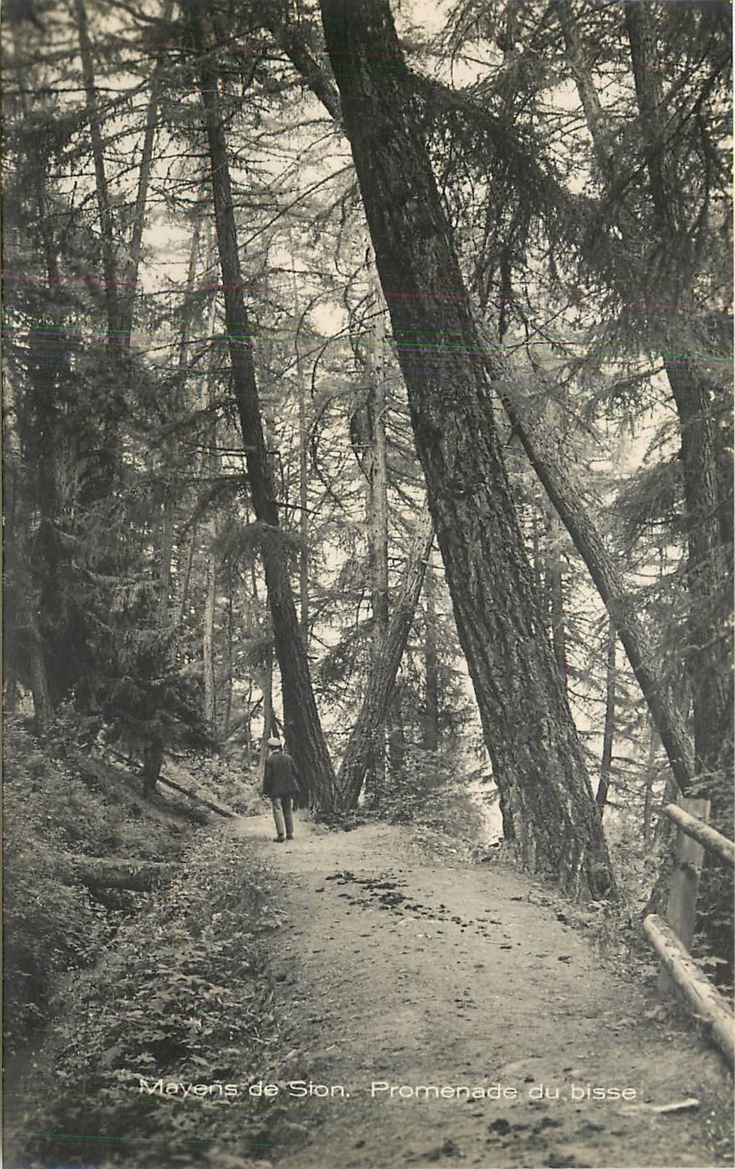 CPA Mayens de Sion promenade du Bisse 