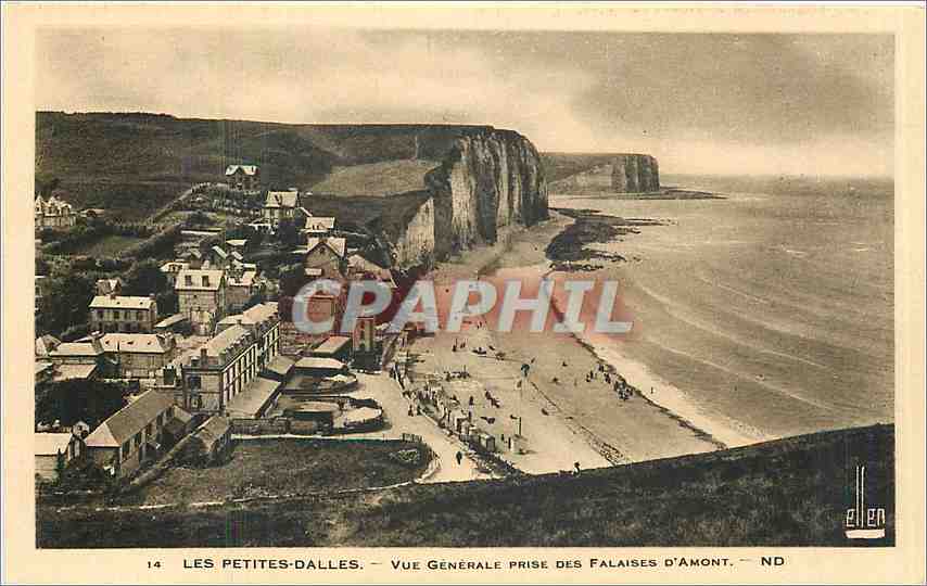 CPA Les Petites Dalles vue generale prise des Falaises d'Amont 