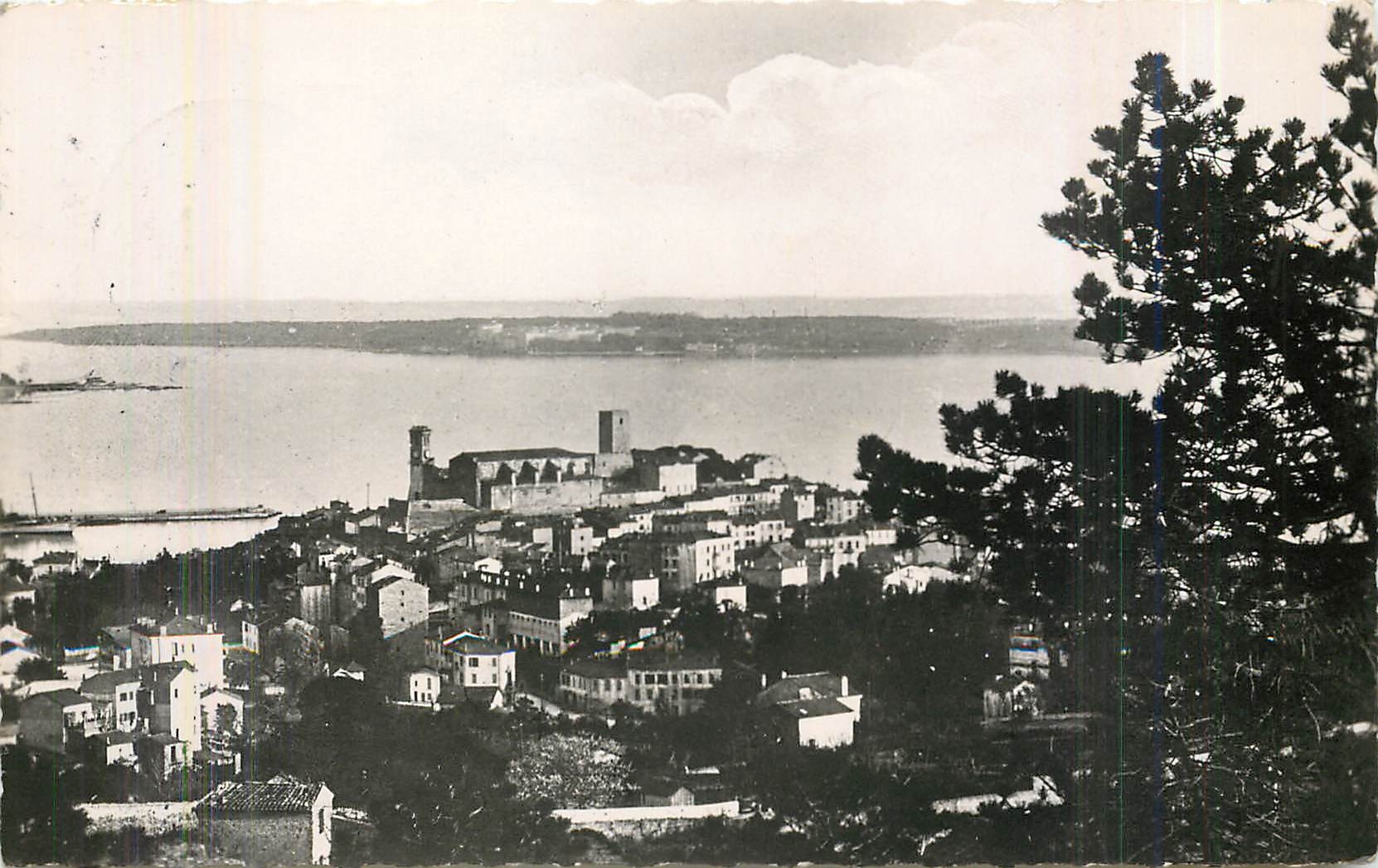 CPM Cannes vue prise de la Croix des Gardes 