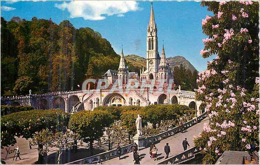 CPA Lourdes la Basilique 