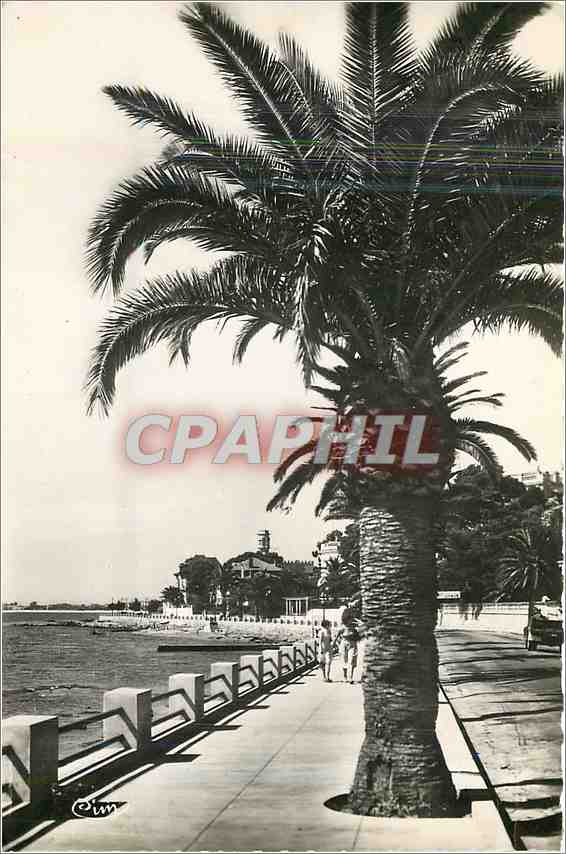 CPM Cote d'Azur St Raphael Var Boulevard Felix Martin 