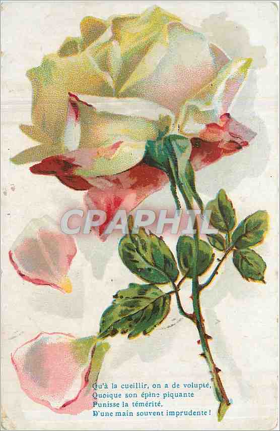 Rose — poème sur l'épine — éditeur inconnu, n° de série non visible