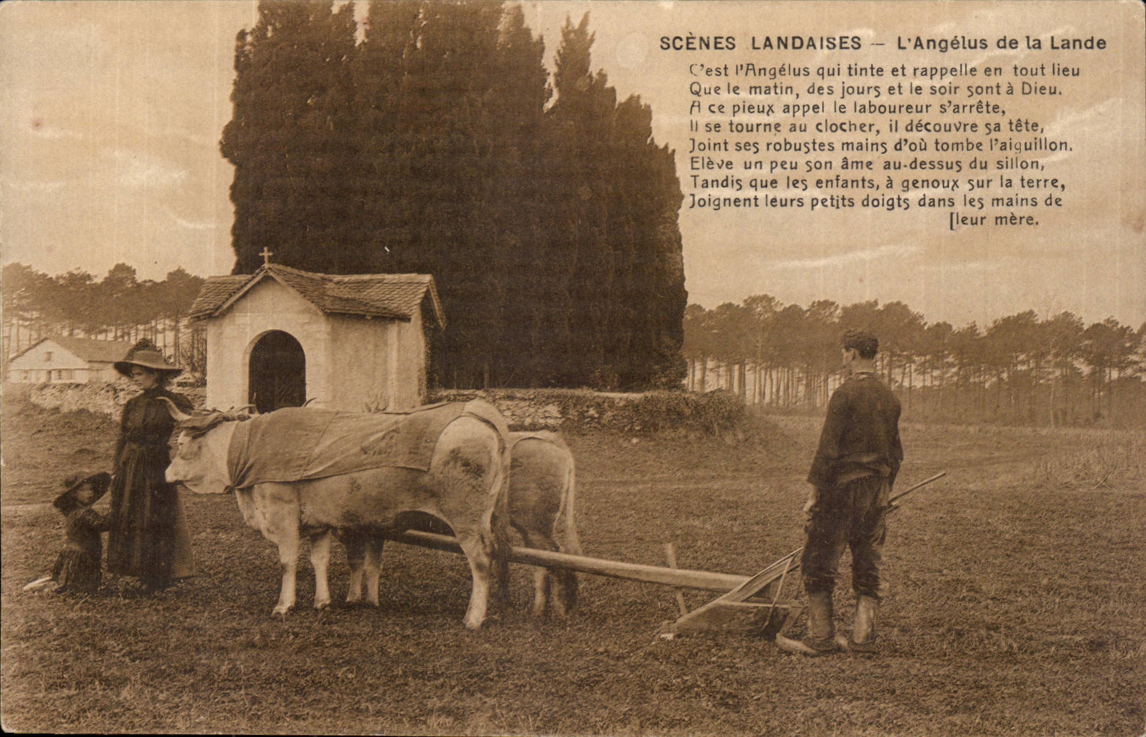 CPA Scenes landaises L'angelus de la Lande Charrue Boeufs TOP