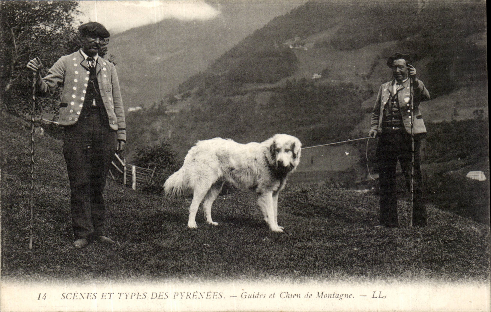 CPA Scenes et types des pyrenees (dog) Guides et chiens de montagne TOP
