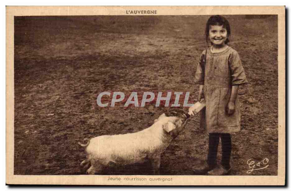CPA L'auvergne Jeune nourrisson auvergnat (cochon)