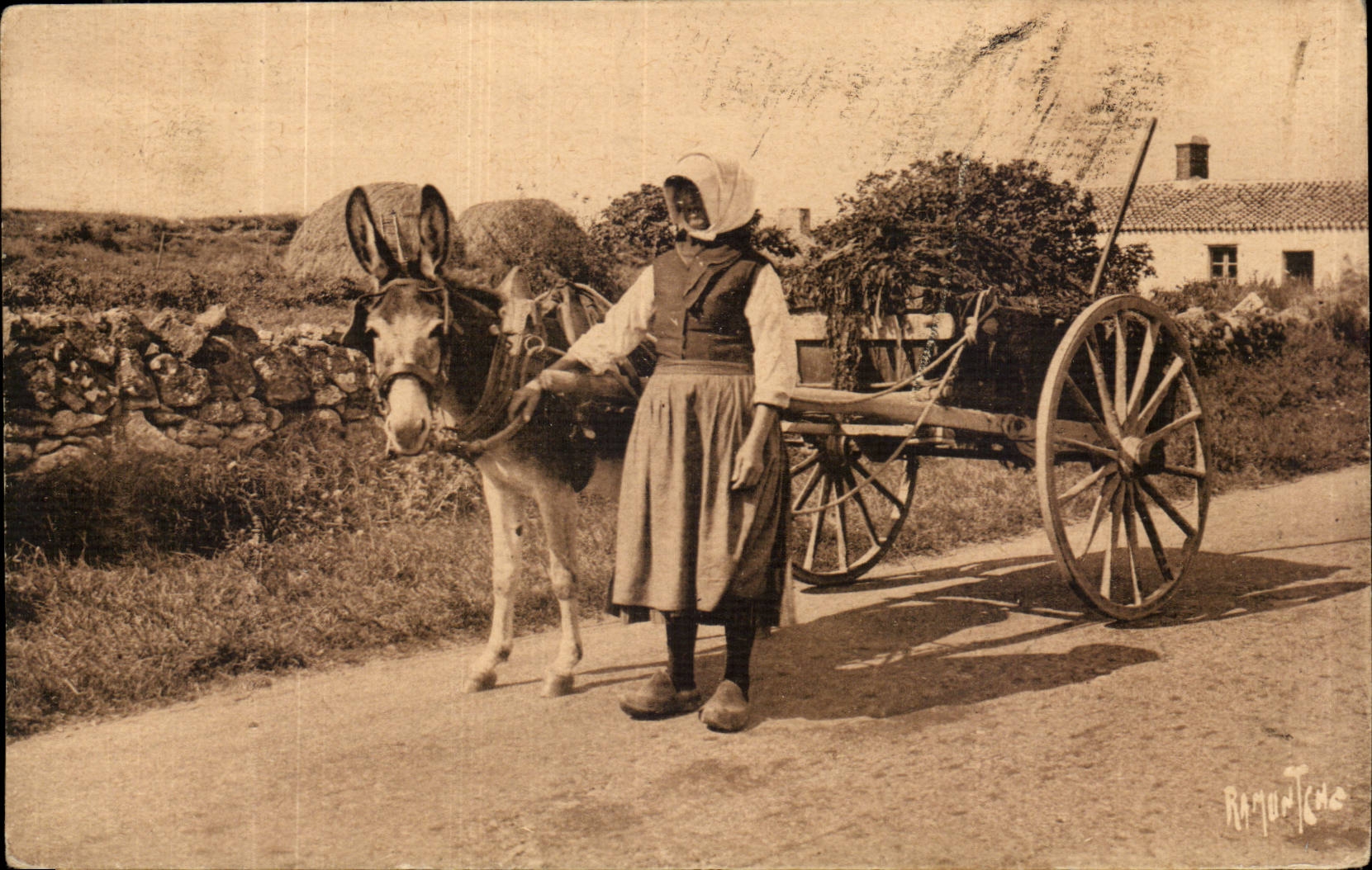 Ile de Noirmoutier CPA Transport de Varech (anes donkey) TOP