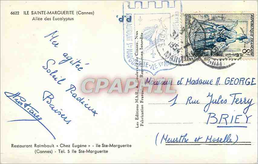 CPA Ile Sainte Marguerite Cannes Allee des Eucalyptus  — Verso