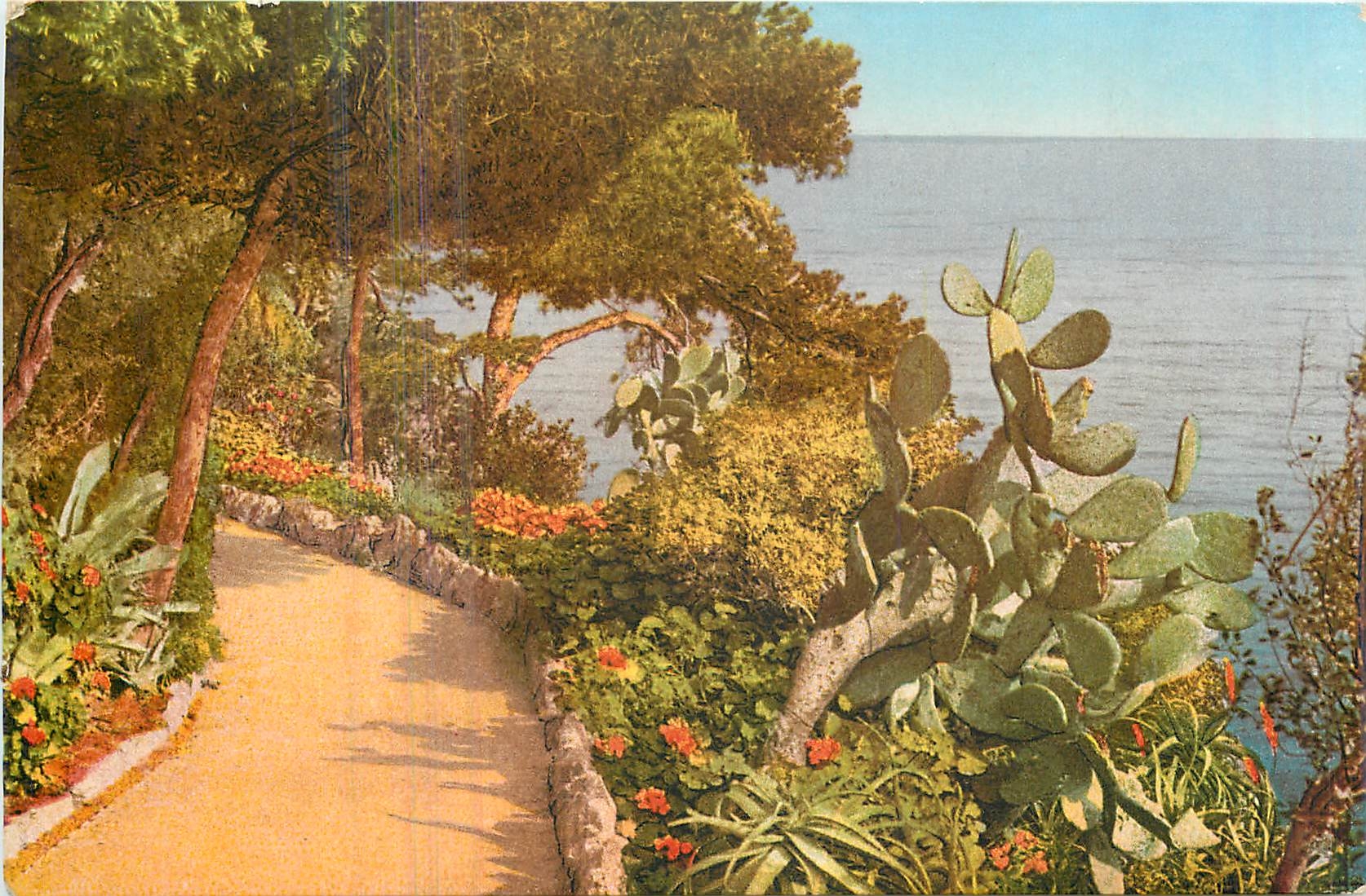 CPM Flore Artistique Etude bord de Mer Cote d'Azur 