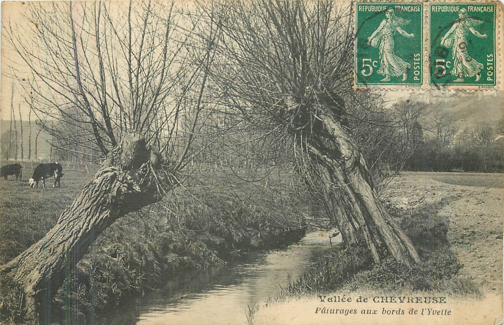 CPA Vallee de Chevreuse Paturages aux bords de l'Yvette Vaches