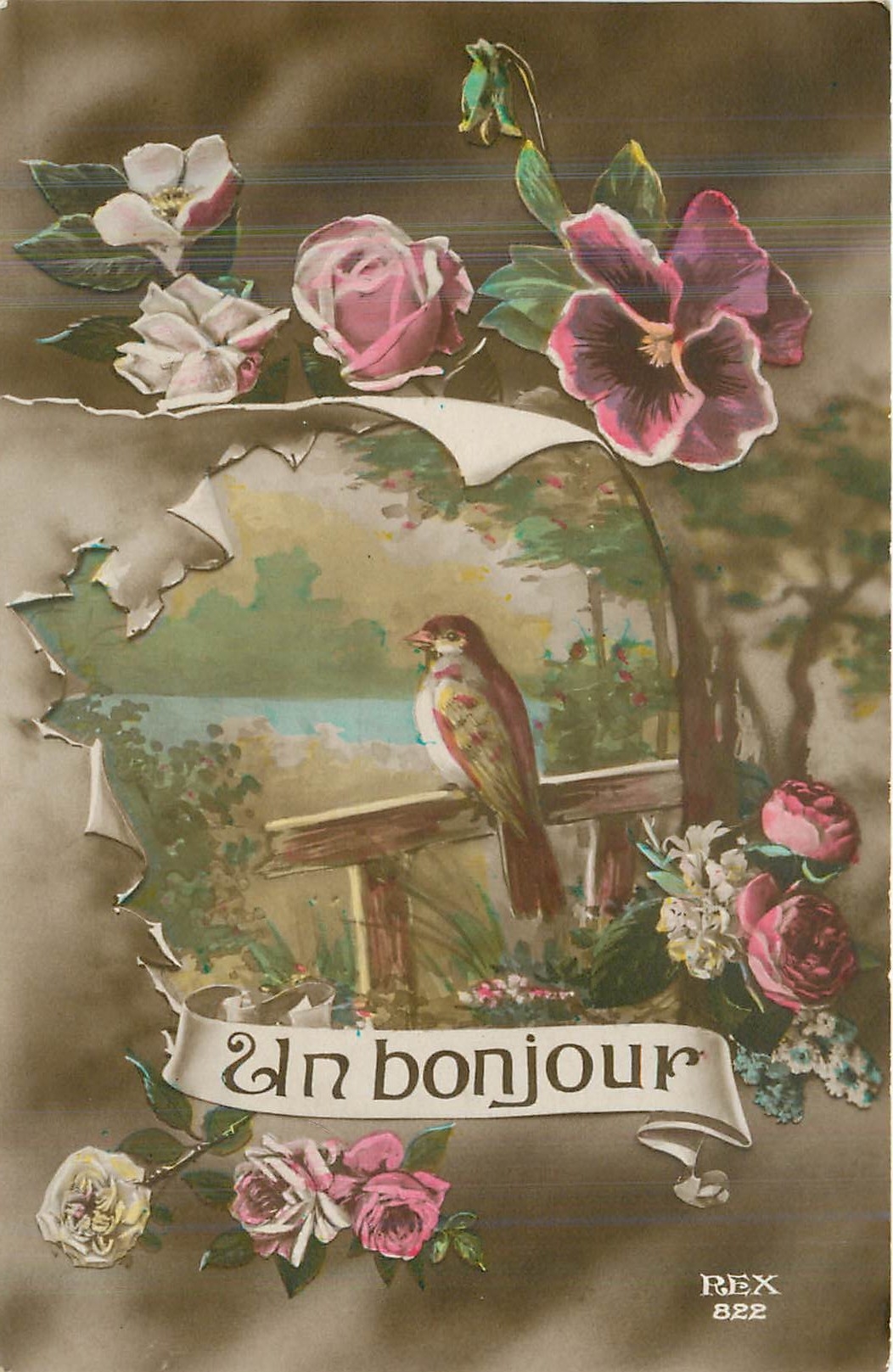 CPA Un Bonjour Oiseau