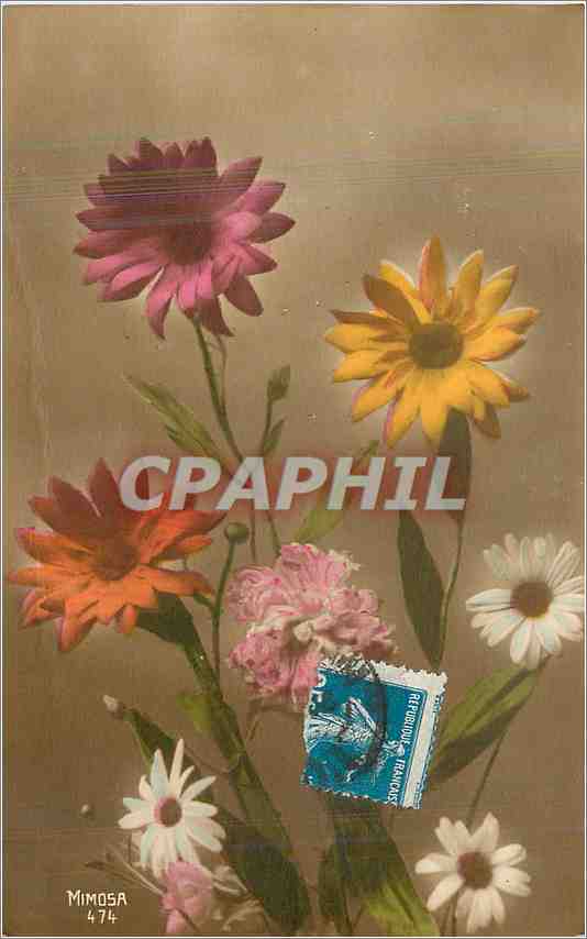 CPA Fleurs