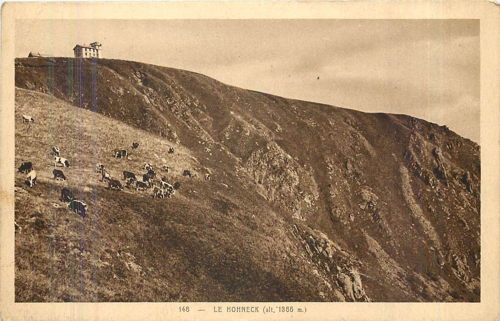 Le Hohnneck (alt. 1386 m.) — vue panoramique avec vaches et cabane — Édition Braun, Lupp. Braun