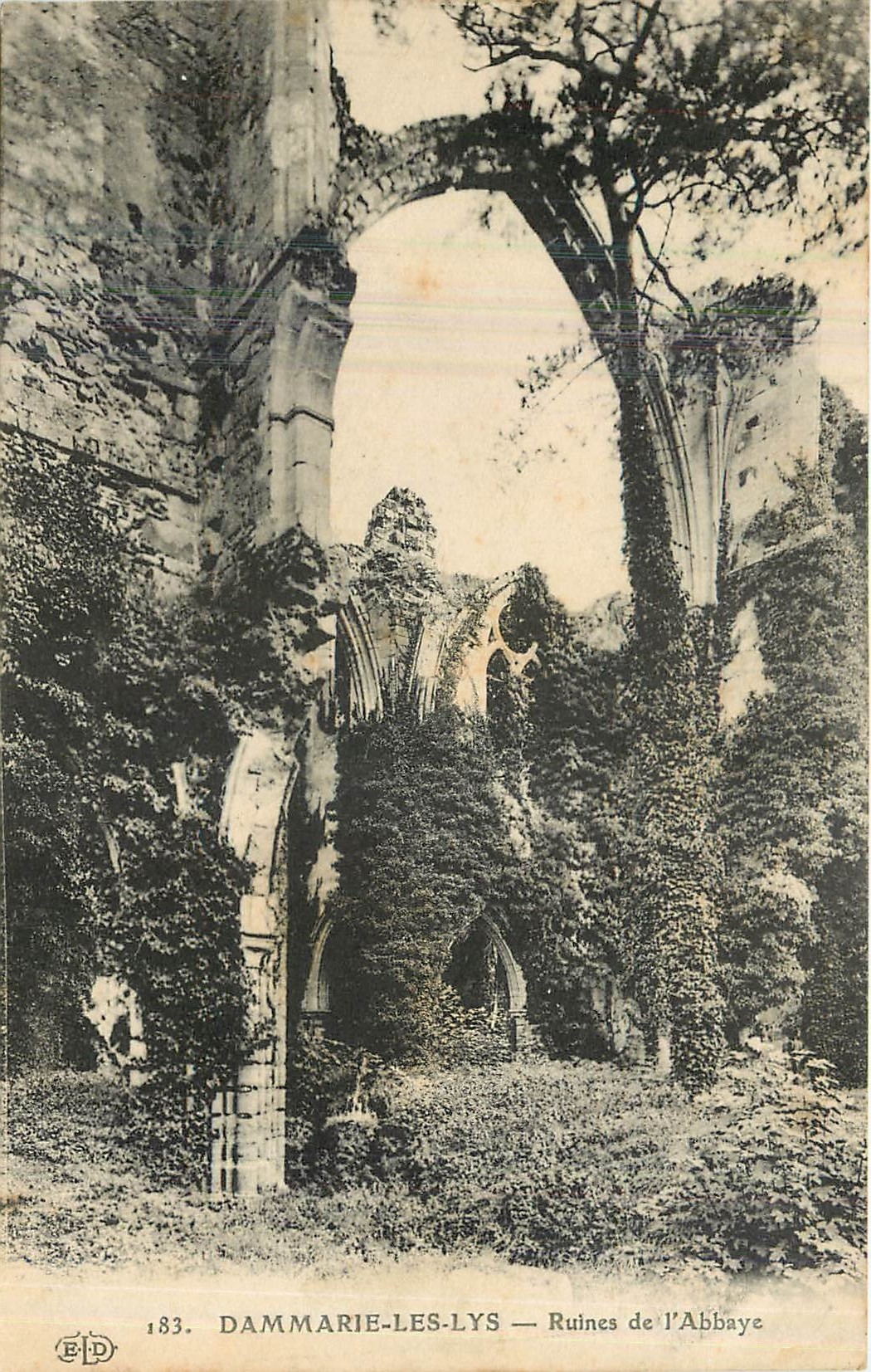 CPA Dammarie Les Lys Ruines de l'Abbaye 