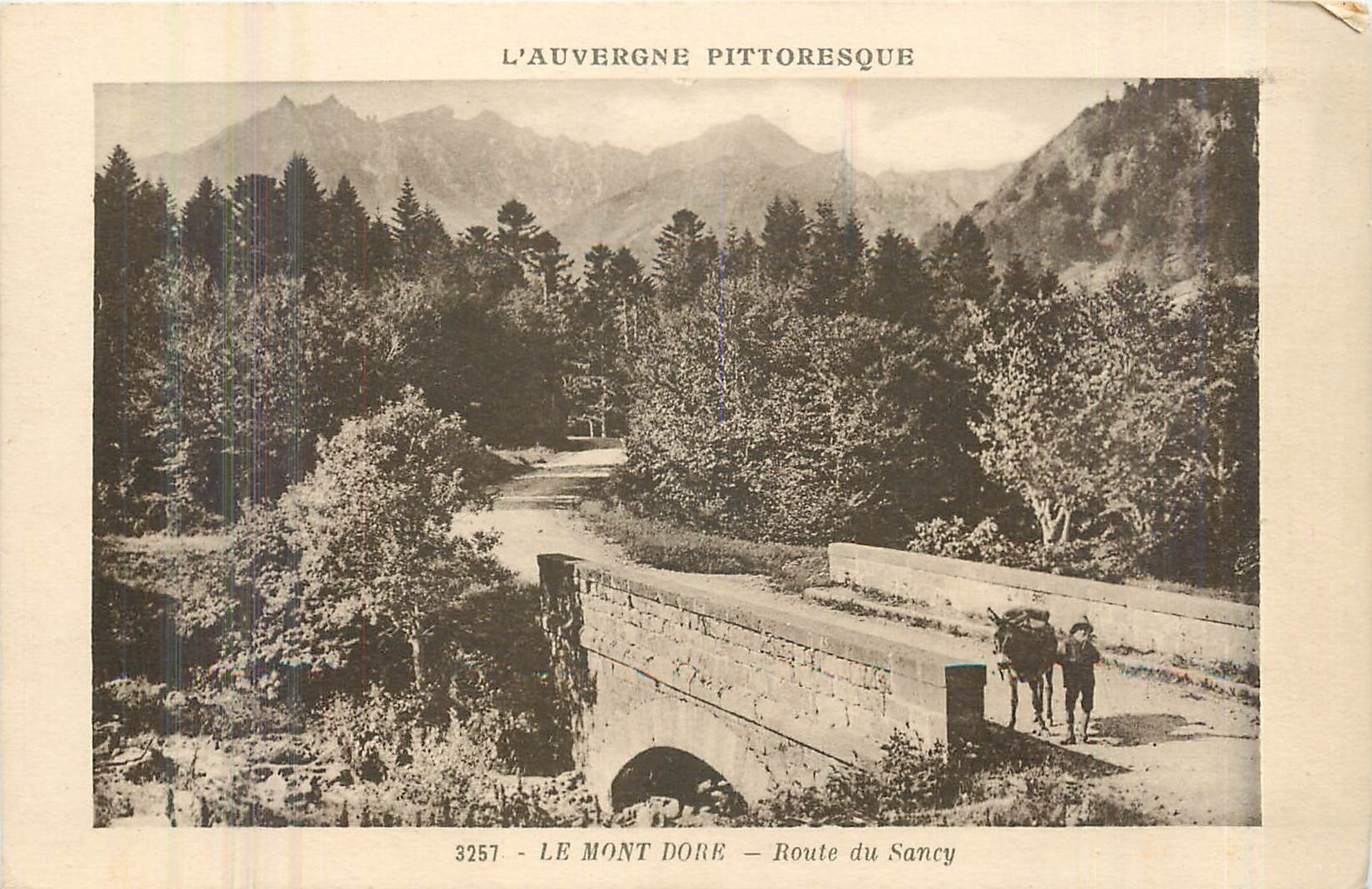 CPA Le Mont Dore Route du Sancy 
