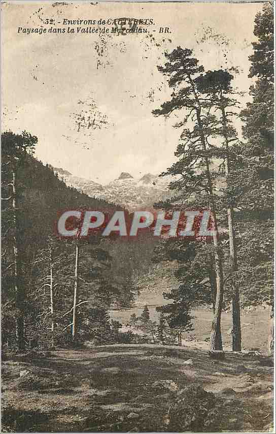 CPA Environs de Cauterets Paysage dans la Vallee 