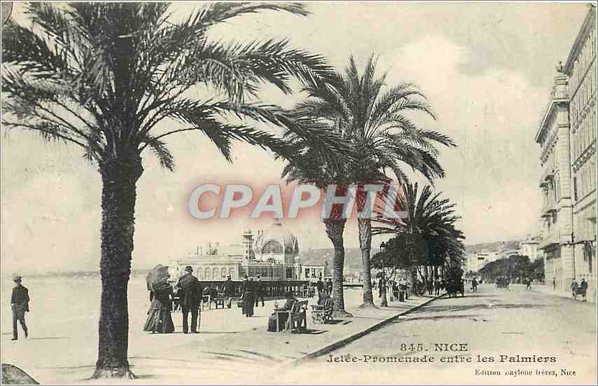 CPA Nice Jetee Promenade entre les Palmiers 