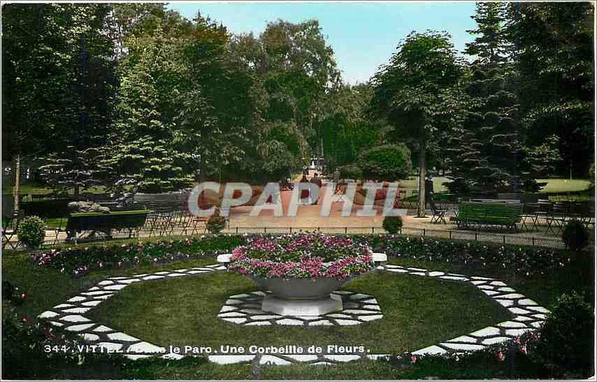 CPM Vittel Le Parc Une Corbeille de Fleurs 
