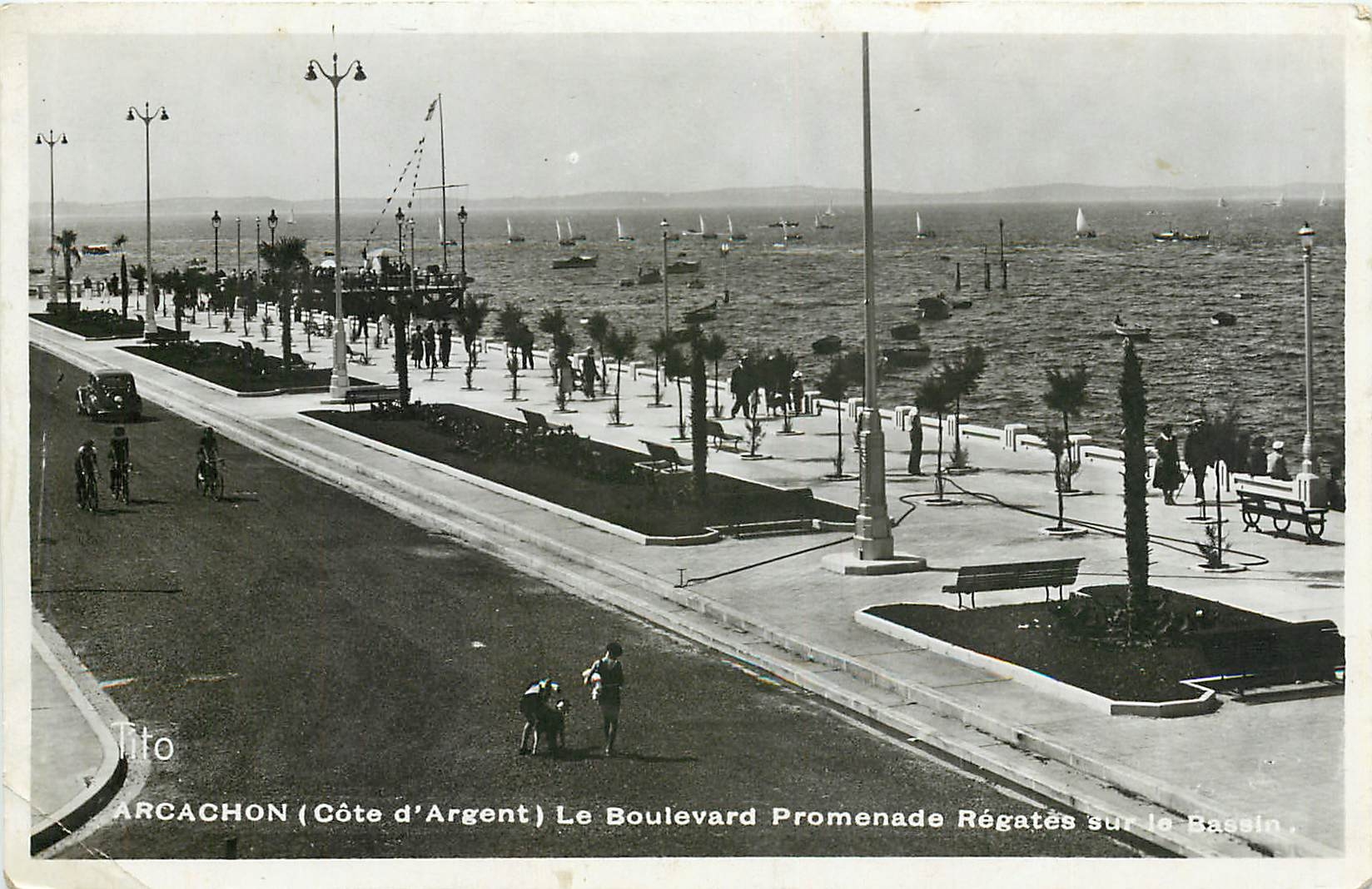 CPM Arcachon Cote d'Argent Le Boulevard Promenade Regates sur le Bassin 