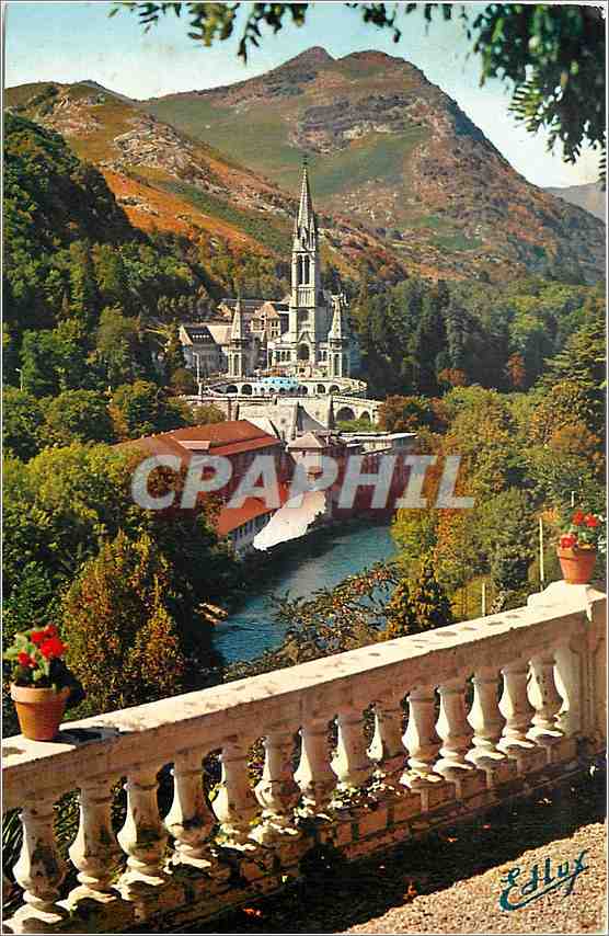 CPM Lourdes La Basilique et le Gave 
