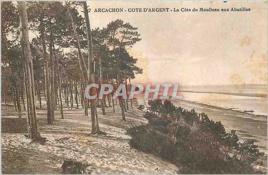 Arcachon - Côte d'Argent - La Côte du Moulleau aux Abatilles