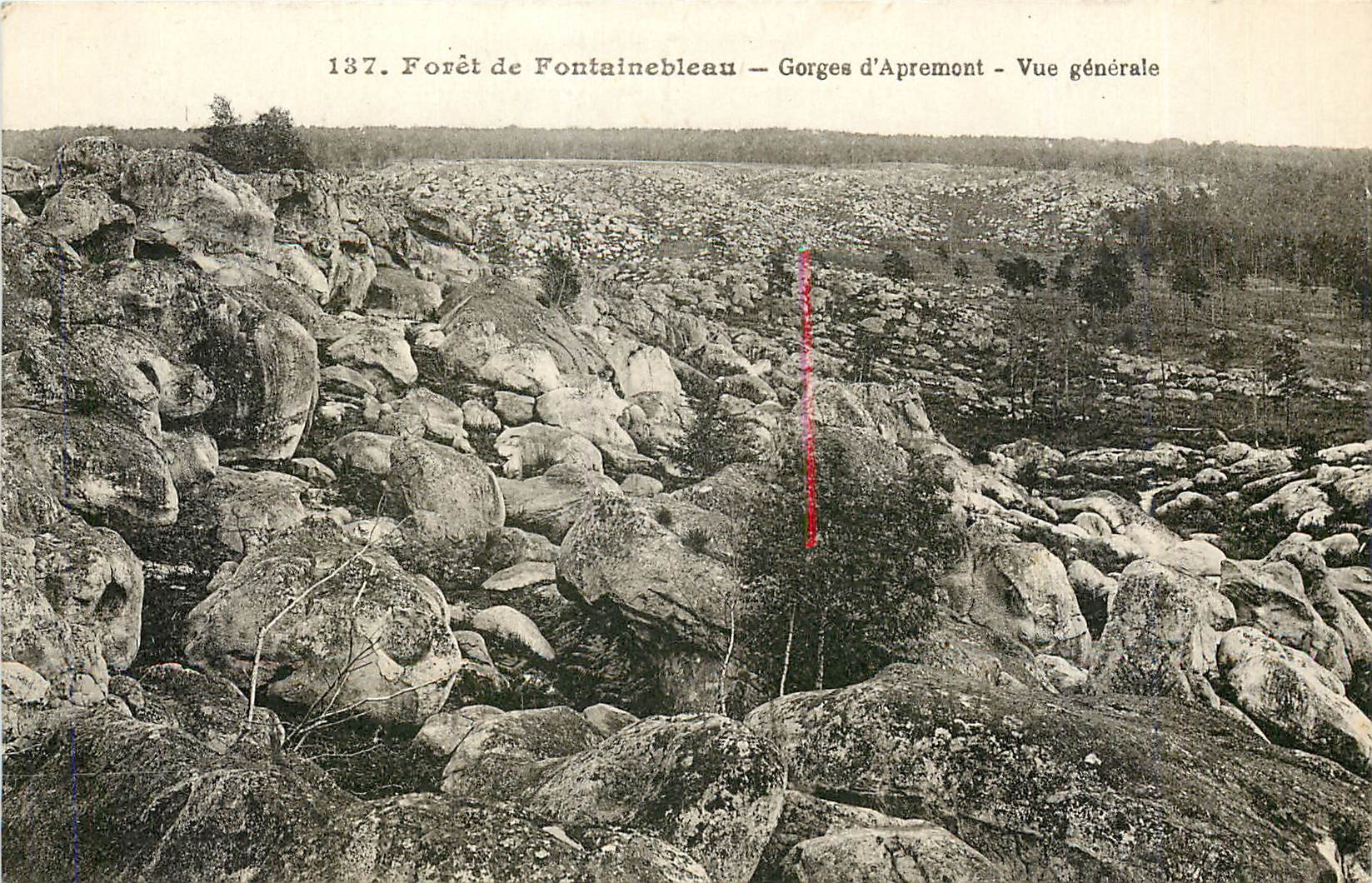 Forêt de Fontainebleau — Gorges d'Apremont — Vue générale — n° 137