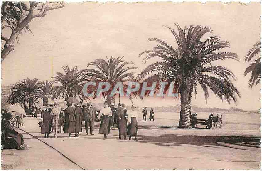CPA Cannes - Le Cap de la croisette et la promenade