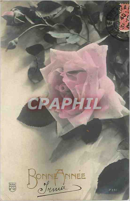 CPA Bonne Annee Fleurs
