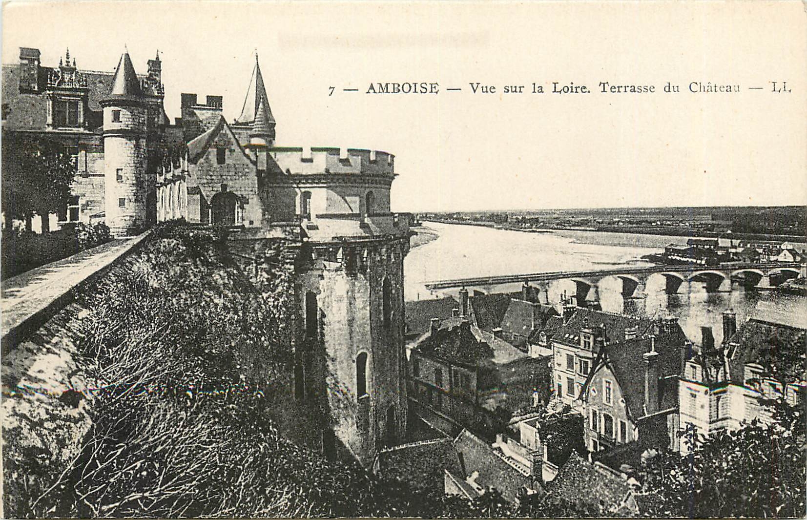 CPA Amboise - Vue sue La Loire. Terrasse du Château