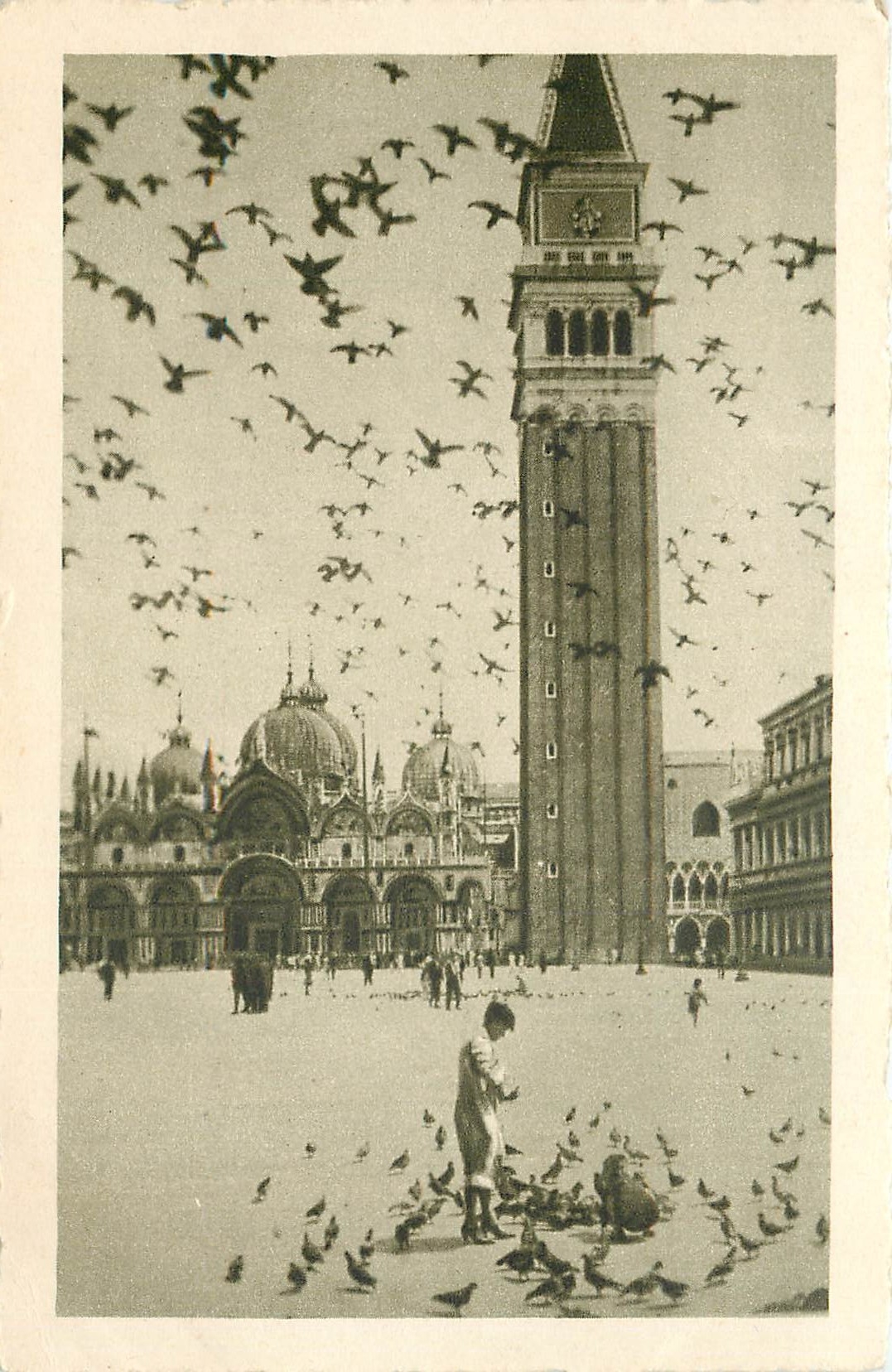 CPA Venezia  Piazza S. Marco - Volata di Piccioni