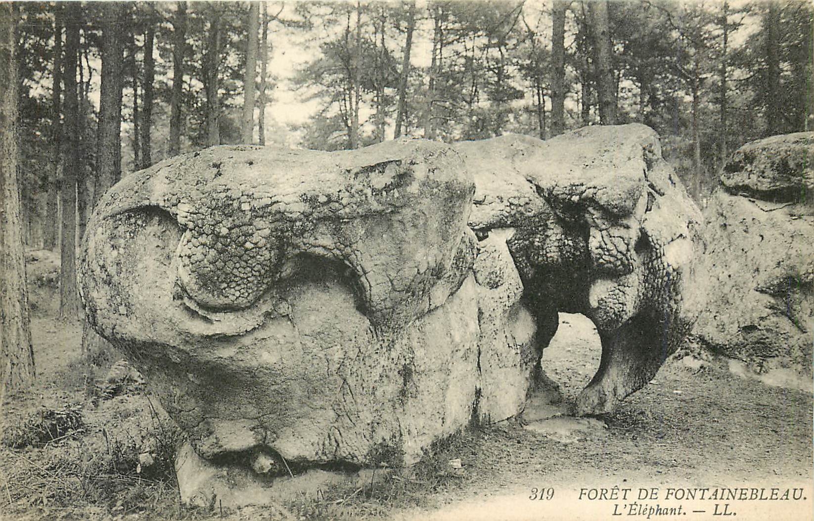 Forêt de Fontainebleau — L'Éléphant — LL, n° 319
