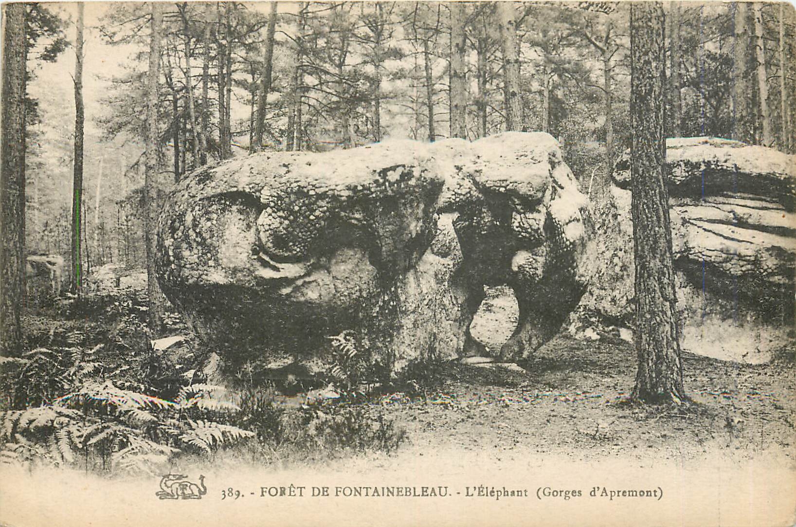 Forêt de Fontainebleau - L'Éléphant (Gorges d'Apremont) — n° 389