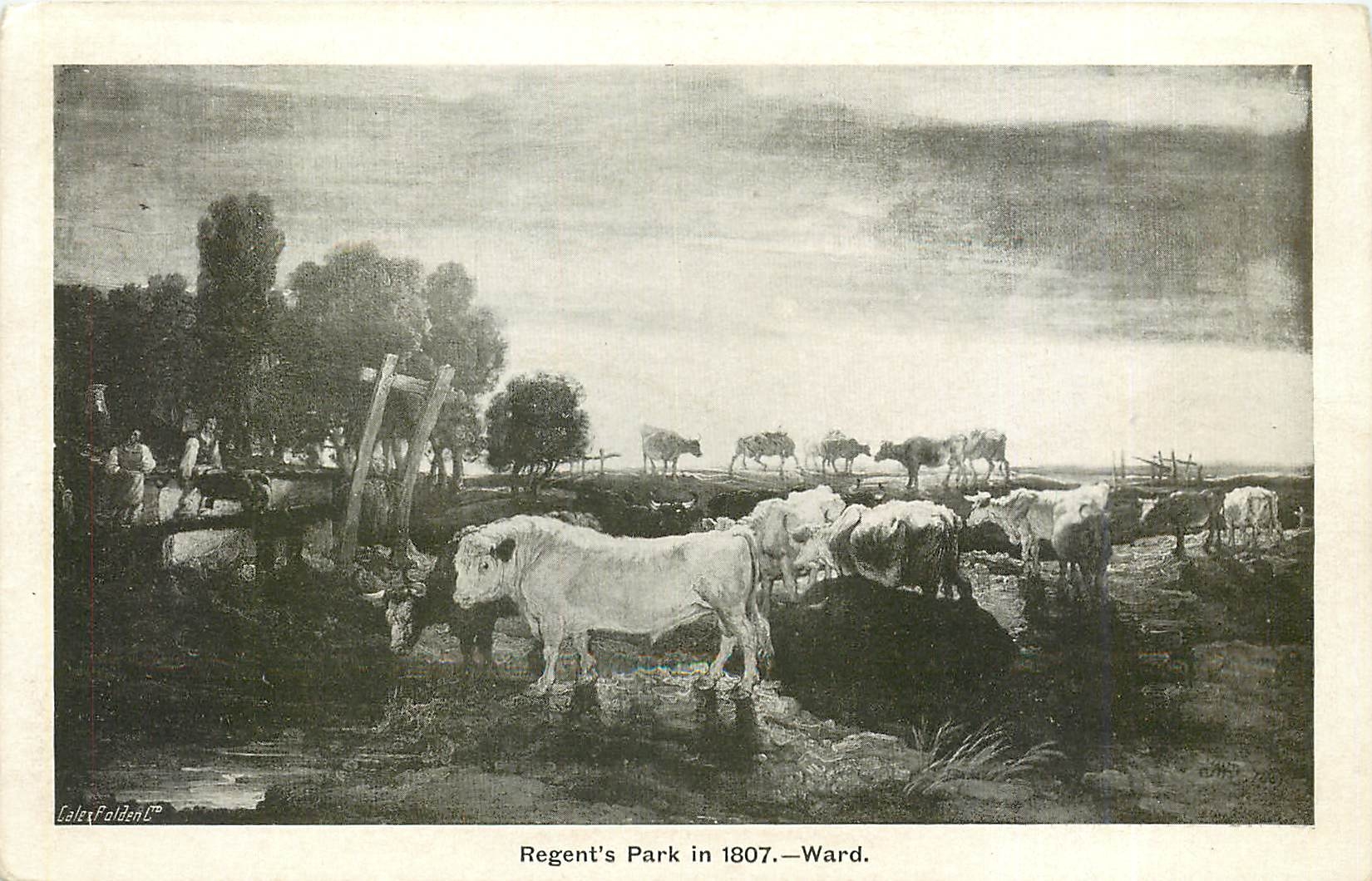 CPA Regent's Park in 1807 - Ward