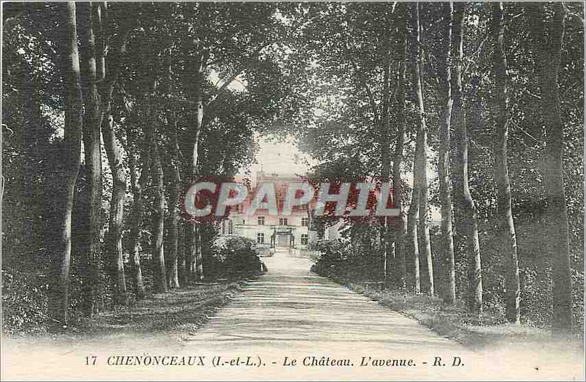 CPA Chenonceaux -Le Château. L'Avenue