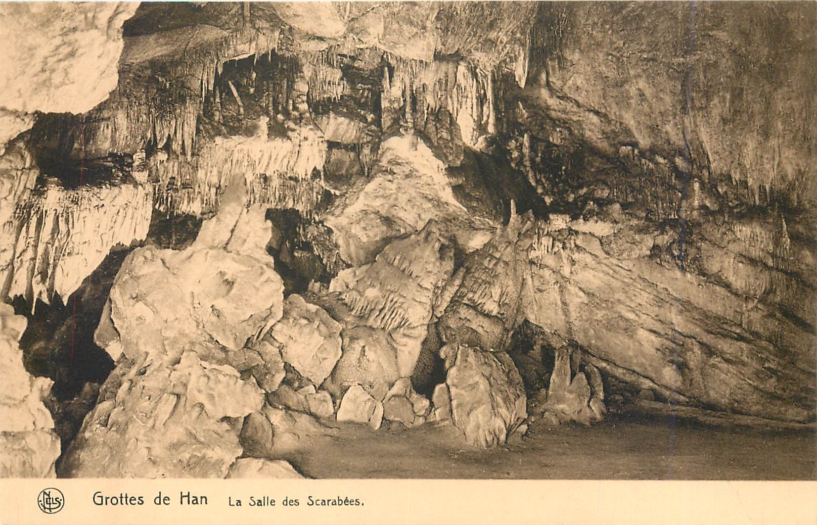 CPA Grotte de Han la salle des scarabees