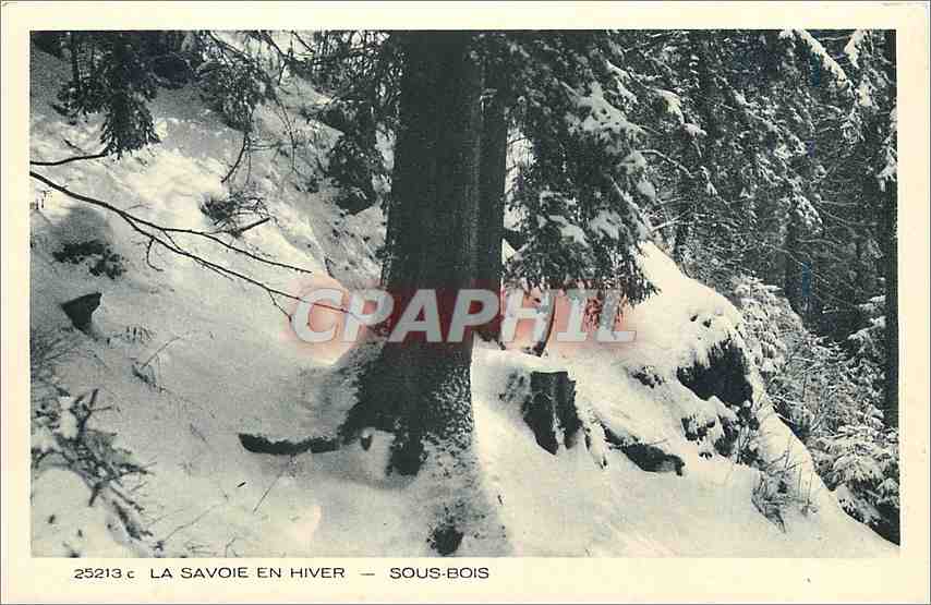 CPA la Savoie en hiver sous-bois