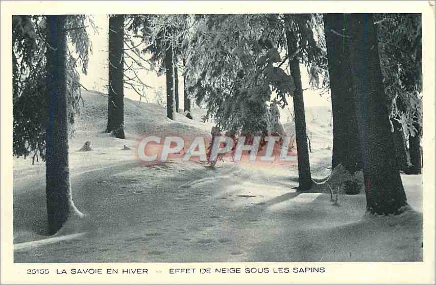 CPA la Savoie en hiver effet de neige sous les sapins