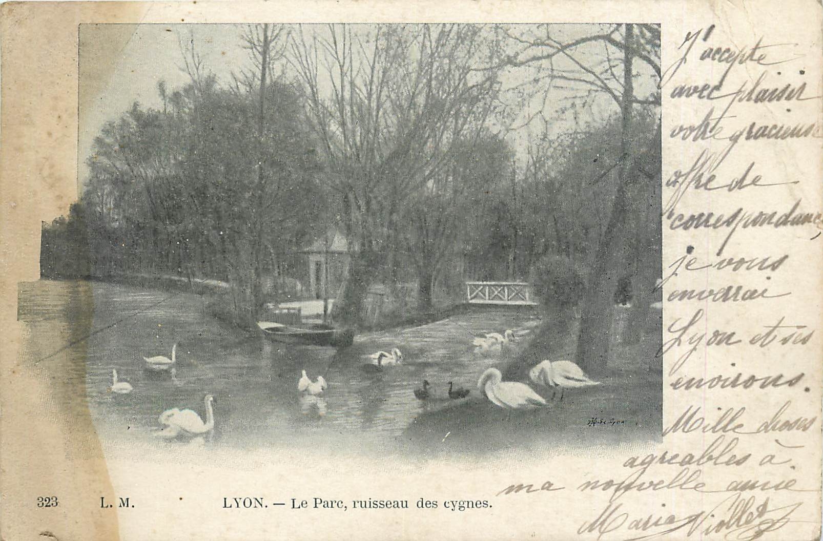 CPA Lyon le parc ruisseau des cygnes