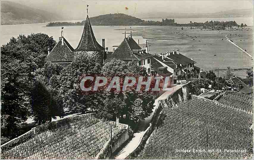 CPA Château de Cerlier et Ile de St. Pierre