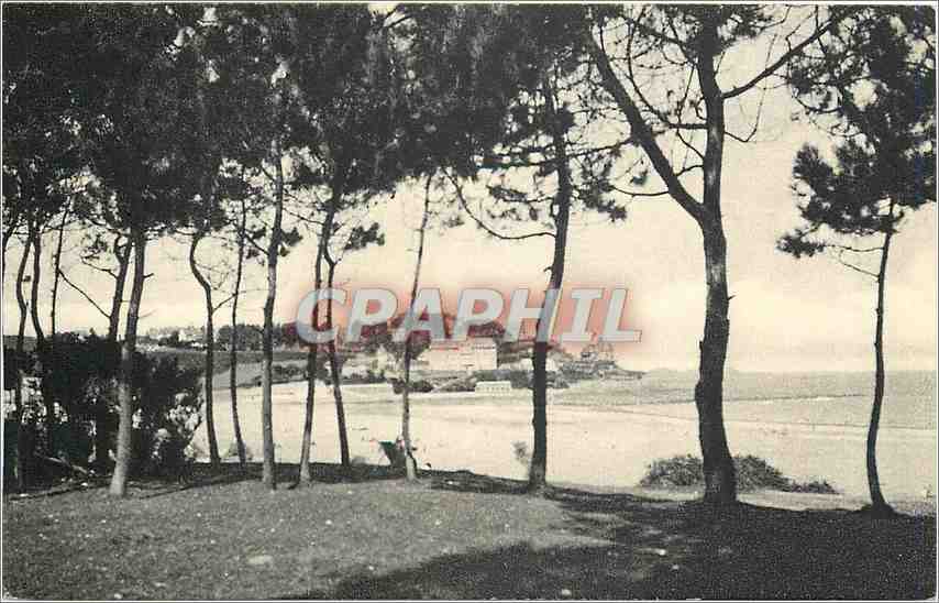 Plage de Trestraou vue à travers les pins — PERROS-GUIREC (C.-du-N.) — Édition Chalet des Vosges
