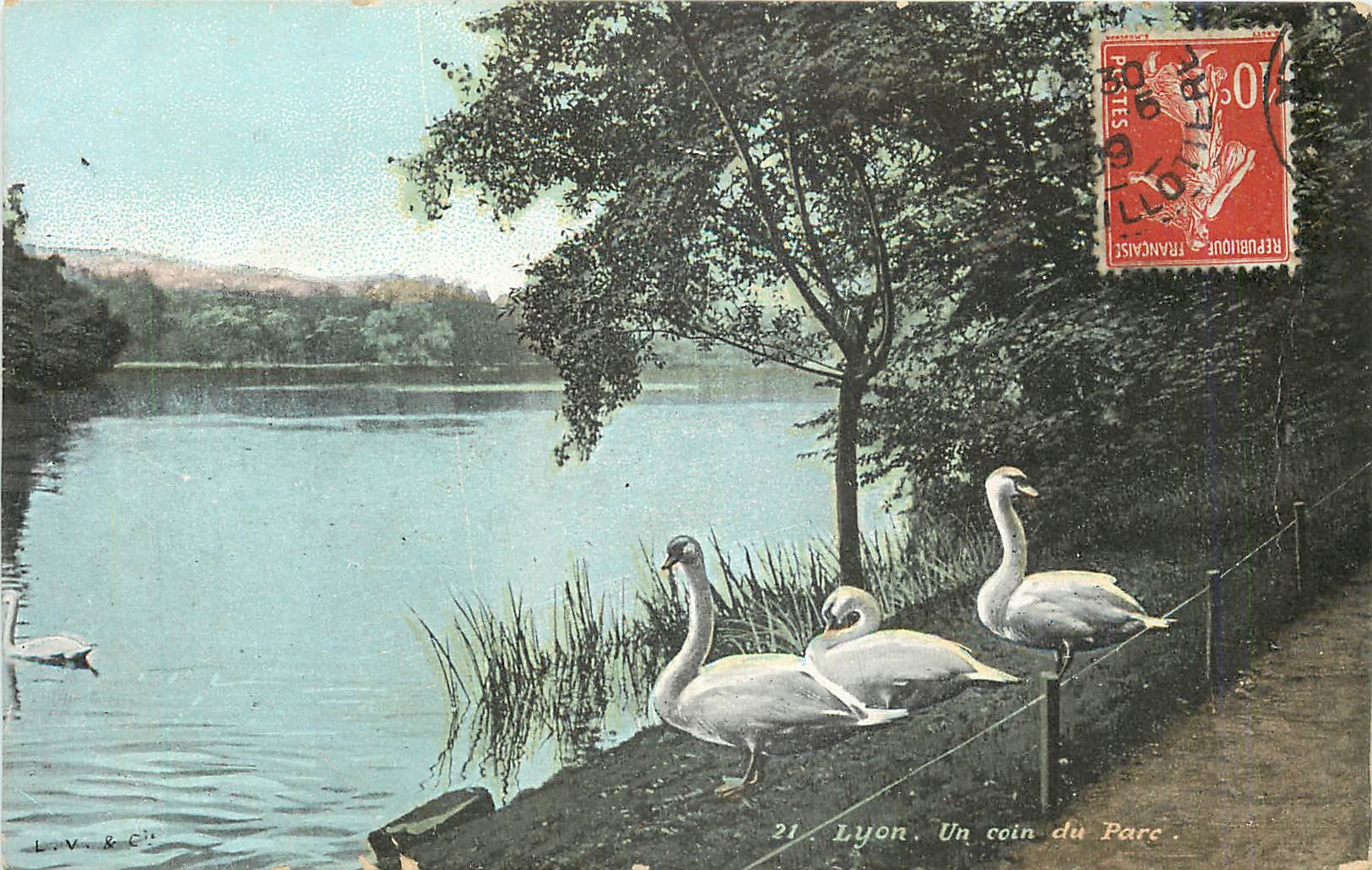 CPA Lyon un coin du parc