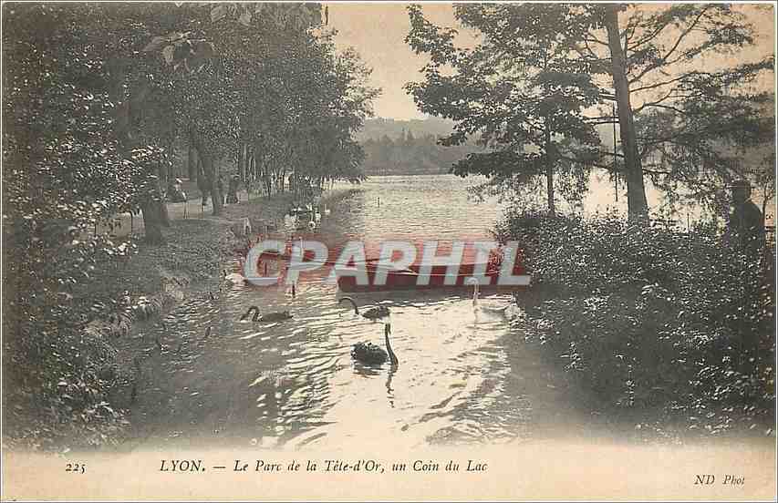 CPA Lyon le Parc de la Tete-d'Or un coin du lac