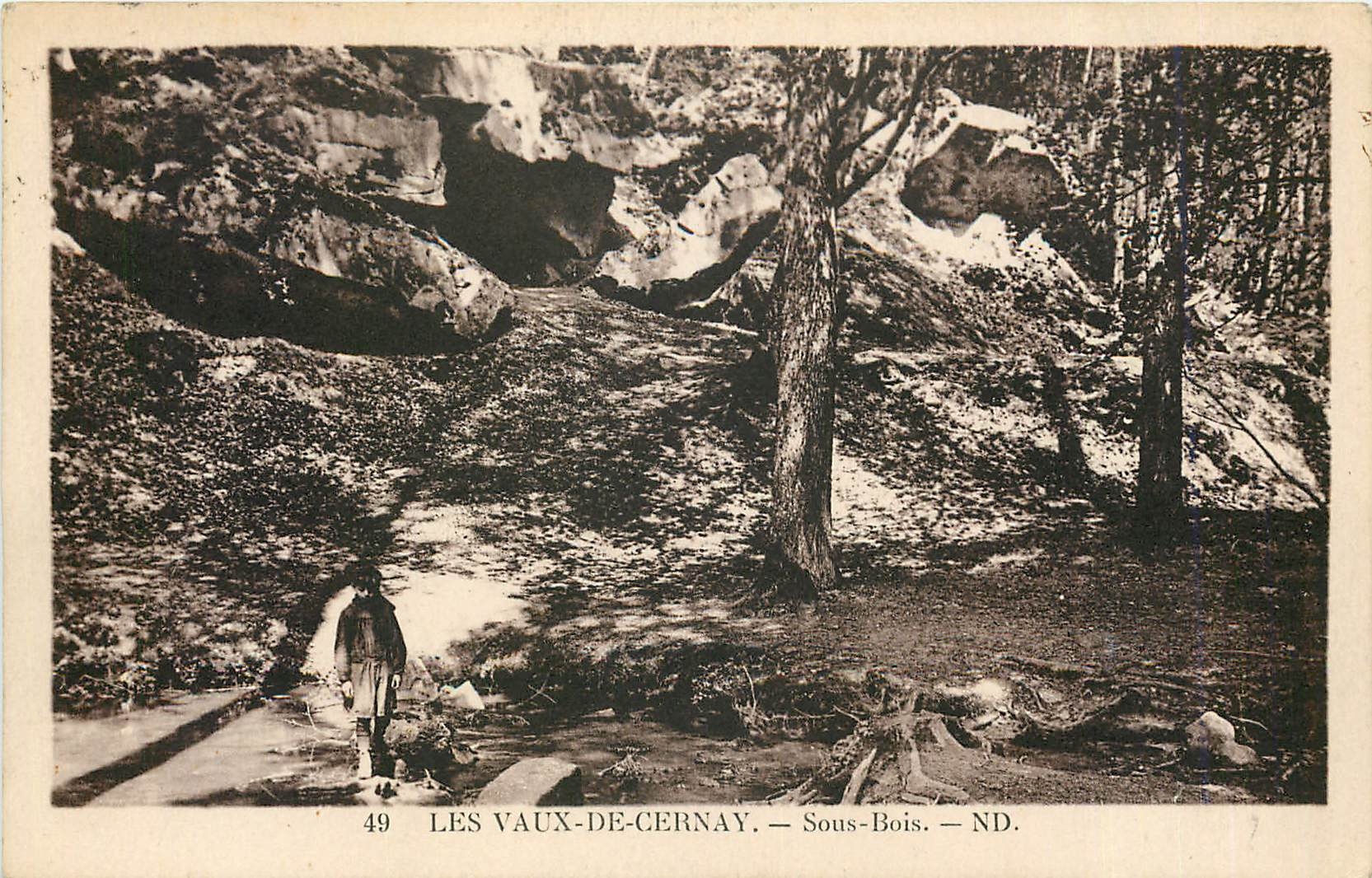 CPA Les Vaux de Cernay Sous bois
