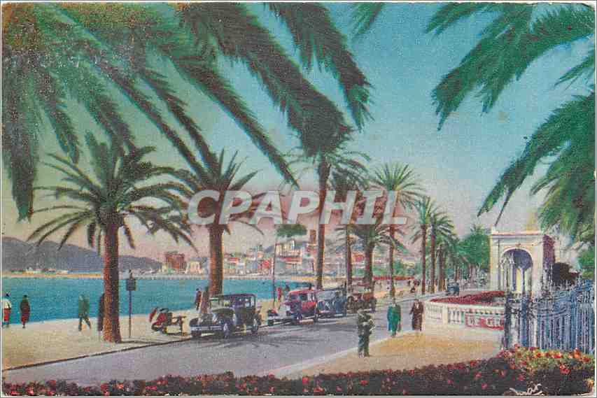 CPA Cannes un coin de la Croisette