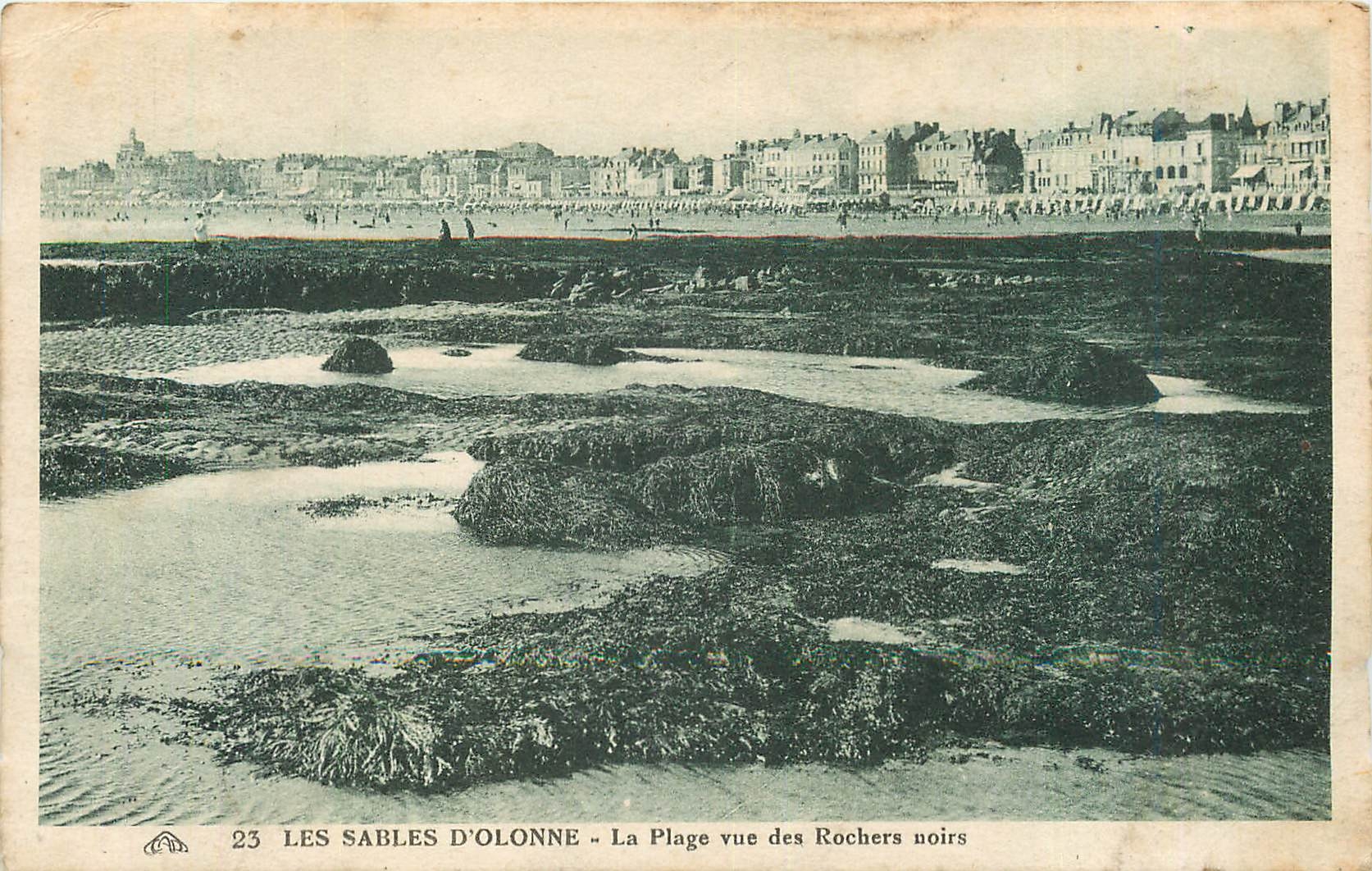 CPA Les Sables d'Olonne la plage vue des rochers noirs