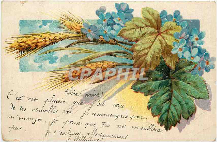 CPA Fleurs