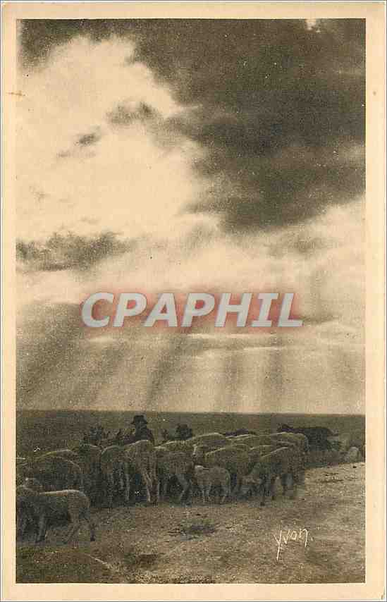 CPA PAYSAGE ET PIERRES DE PROVENCE Coucher de Soleil Moutons
