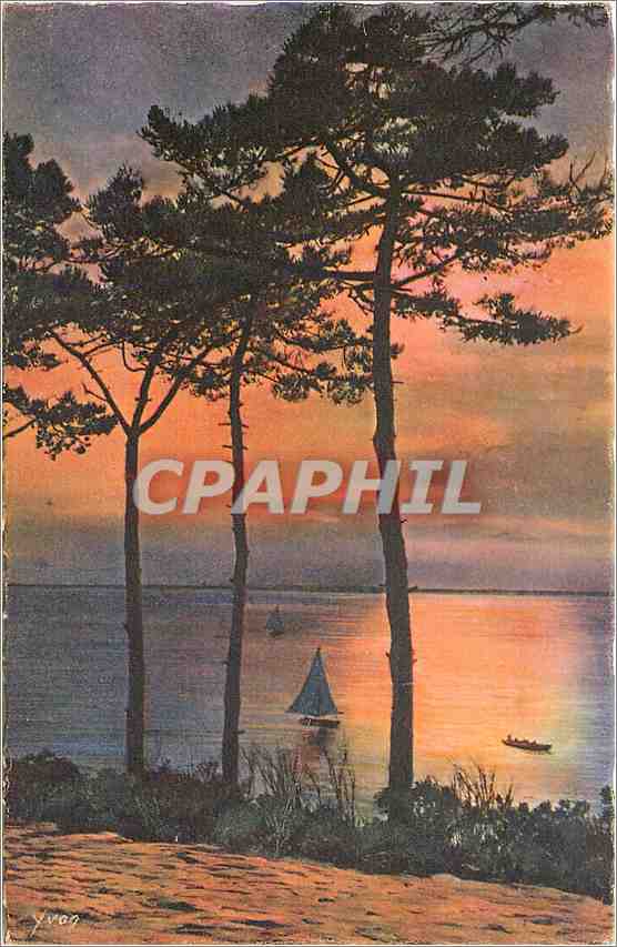 CPA Les Charmes de la Cote d'Argent Moulleau Arcachon Gironde Les Abatilles 