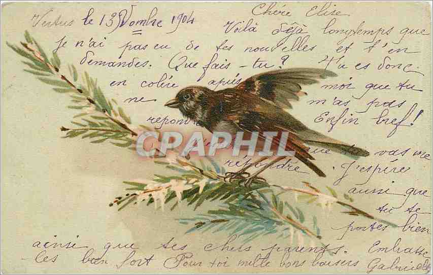 CPA Oiseau