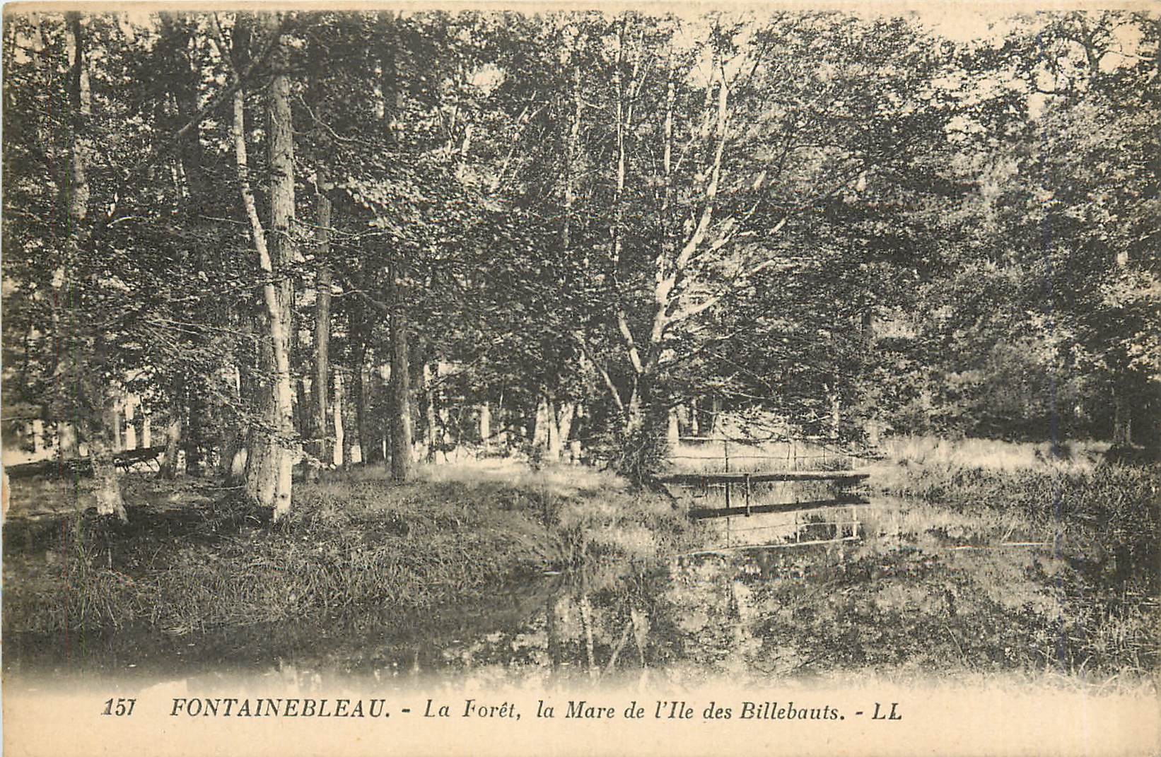 Fontainebleau - La Forêt, la Mare de l'Île des Billebauts - LL